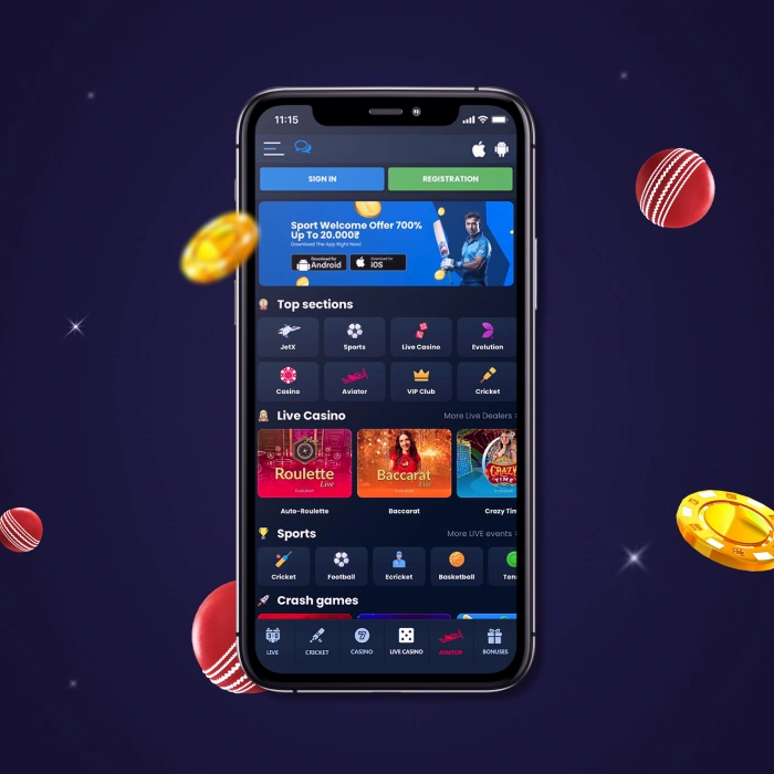 mobile app