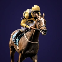 horse racing